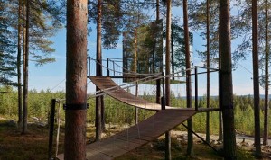 Tree hotel швеция харадс презентация