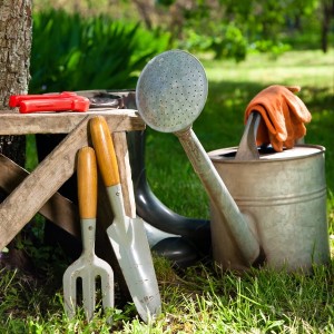 Инструменты для работы на даче в огороде фото и название